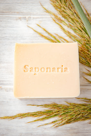 Savon – Ambre blanc