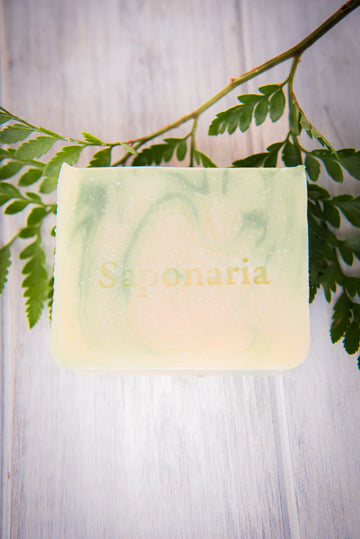 Soap - Woodland Elixir